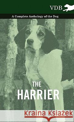 The Harrier - A Complete Anthology of the Dog Various 9781445527390 Vintage Dog Books