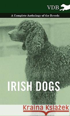 Irish Dogs - A Complete Anthology of the Breeds Various (selected by the Federation of Children's Book Groups) 9781445527406 Read Books