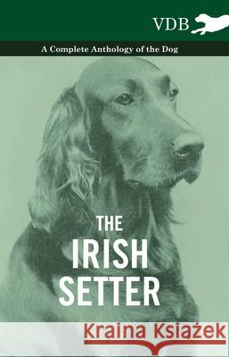 The Irish Setter - A Complete Anthology of the Dog Various (selected by the Federation of Children's Book Groups) 9781445527413 Read Books