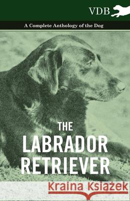 The Labrador Retriever - A Complete Anthology of the Dog Various 9781445527499 Vintage Dog Books