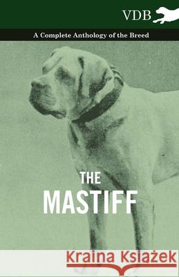 The Mastiff - A Complete Anthology of the Breed Various 9781445527512 Vintage Dog Books