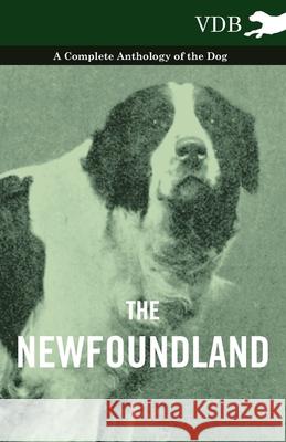 The Newfoundland - A Complete Anthology of the Dog Various 9781445527536 Vintage Dog Books