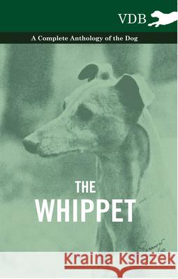 The Whippet - A Complete Anthology of the Dog Various 9781445528038 Vintage Dog Books