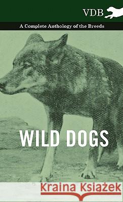 Wild Dogs - A Complete Anthology of the Breeds Various 9781445528045 Vintage Dog Books