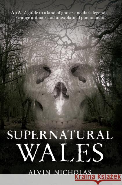 Supernatural Wales Alvin Nicholas 9781445611518 Amberley Publishing