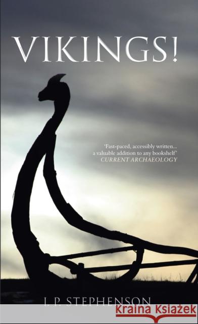 Vikings! I. P. Stephenson 9781445613895 Amberley Publishing