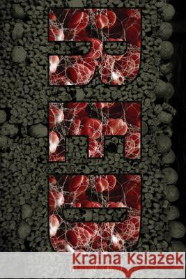 Red Mirko Vidovic 9781445752501 Lulu.com