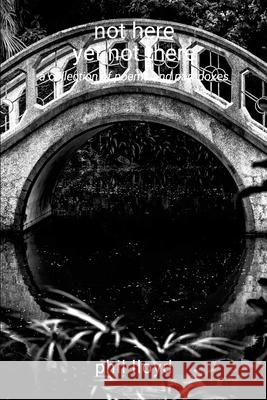 not here yet not there: transition Phil Lloyd 9781445784991 Lulu.com