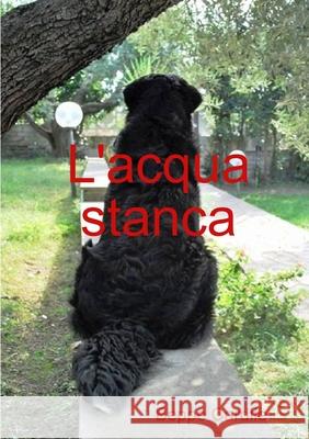 L\'acqua stanca Beppe Cardile 9781445789323 Lulu.com
