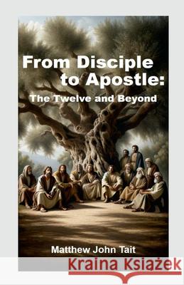 From Disciple to Apostle: The Twelve and Beyond Matthew John Tait 9781445792125