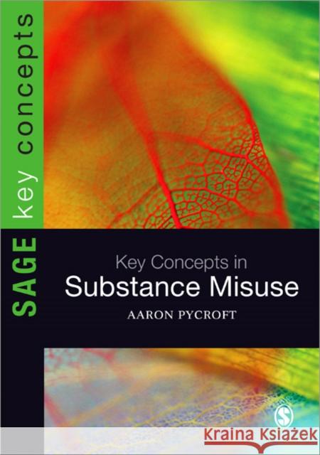 Key Concepts in Substance Misuse Aaron Pycroft 9781446252406 Sage Publications Ltd