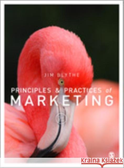Principles and Practice of Marketing Jim Blythe 9781446273999 Sage Publications (CA)