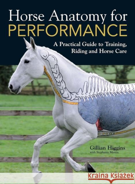 Horse Anatomy for Performance: A Practical Guide to Training, Riding and Horse Care Gillian Higgins 9781446300961 David & Charles