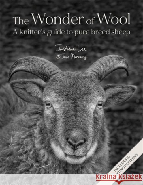 The Wonder of Wool: A Knitter's Guide to Pure Breed Sheep Jess Morency 9781446315453 David & Charles