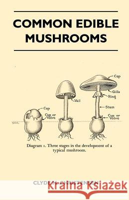 Common Edible Mushrooms Clyde M. Christensen 9781446519776 Law. Press