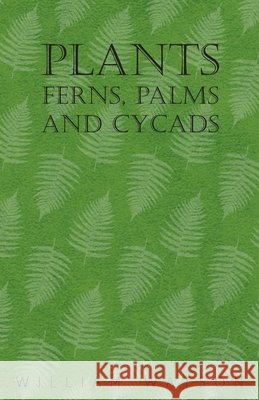 Plants - Ferns, Palms and Cycads William Watson 9781446523568