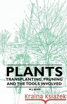 Plants - Transplanting, Pruning and the Tools Involved W. J. Bean 9781446524008 Read Books