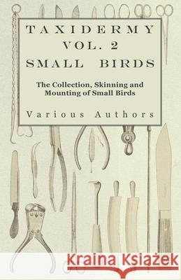 Taxidermy Vol. 2 Small Birds - The Collection, Skinning and Mounting of Small Birds Various 9781446524039 Schauffler Press