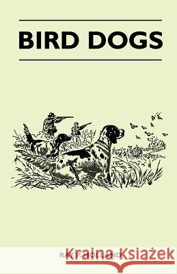 Bird Dogs Ray P. Holland 9781446526248 Tomlin Press