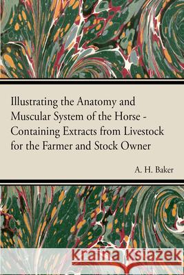 Illustrating the Anatomy and Muscular System of the Horse - Containing Extracts from Livestock for the Farmer and Stock Owner A. H. Baker 9781446535707 Averill Press