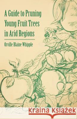 A Guide to Pruning Young Fruit Trees in Arid Regions Orville Blaine Whipple 9781446537589 Earle Press