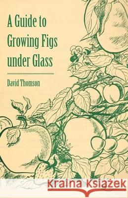 A Guide to Growing Figs Under Glass David Thomson 9781446537640