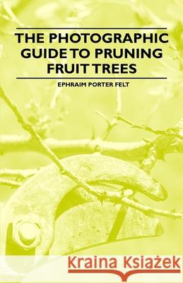 The Photographic Guide to Pruning Fruit Trees Ephraim Porter Felt 9781446537886 Husband Press