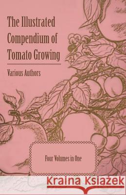 The Illustrated Compendium of Tomato Growing - Five Volumes in One Various 9781446538166 Morison Press