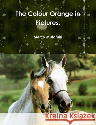 The Colour Orange in Pictures. Mercy Mutamiri 9781446785539