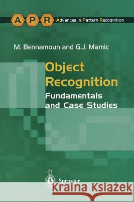 Object Recognition: Fundamentals and Case Studies Bennamoun, M. 9781447137245 Springer