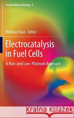Electrocatalysis in Fuel Cells: A Non- And Low- Platinum Approach Shao, Minhua 9781447149101
