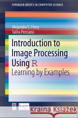 Introduction to Image Processing Using R: Learning by Examples Frery, Alejandro C. 9781447149491