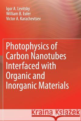 Photophysics of Carbon Nanotubes Interfaced with Organic and Inorganic Materials Igor a. Levitsky William B. Euler Victor a. Karachevtsev 9781447161998 Springer