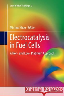 Electrocatalysis in Fuel Cells: A Non- And Low- Platinum Approach Shao, Minhua 9781447169499