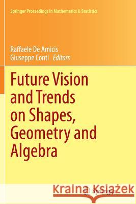 Future Vision and Trends on Shapes, Geometry and Algebra Raffaele D Giuseppe Conti 9781447171034 Springer