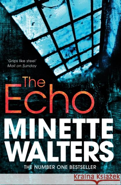 The Echo Minette Walters 9781447207924 PAN MACMILLAN