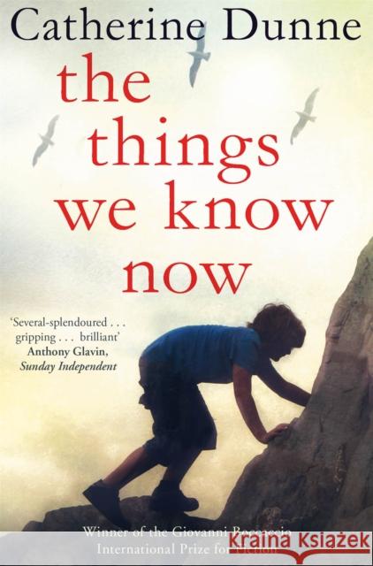 The Things We Know Now Catherine Dunne 9781447209317 0