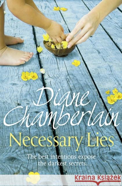 Necessary Lies Diane Chamberlain 9781447211259 0