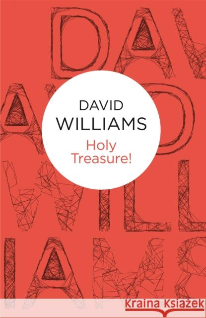 Holy Treasure! David Williams 9781447215370 Policy Press