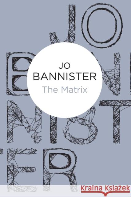 The Matrix Jo Bannister 9781447236474 Policy Press