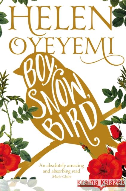 Boy, Snow, Bird Helen Oyeyemi 9781447237143 Pan Macmillan
