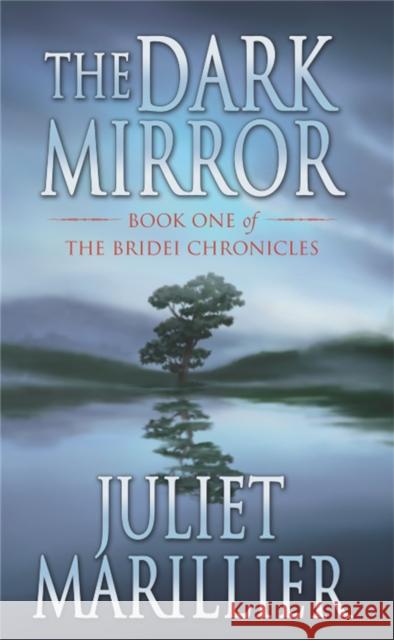 The Dark Mirror Marillier, Juliet 9781447251750