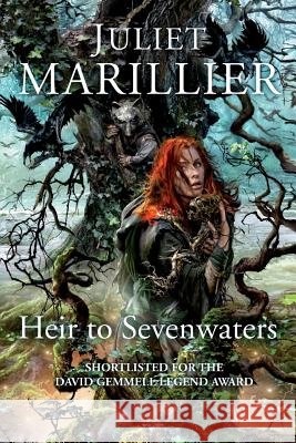 Heir to Sevenwaters  Marillier, Juliet 9781447251767