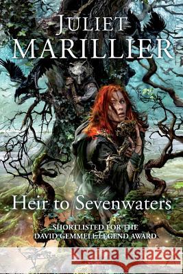 Heir to Sevenwaters  Marillier, Juliet 9781447251767