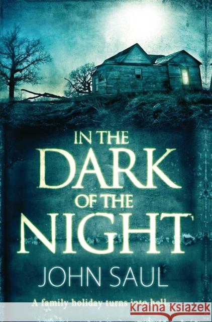 In the Dark of the Night John Saul 9781447264316 Pan Macmillan