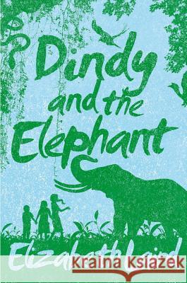 Dindy and the Elephant Elizabeth Laird 9781447272403 MACMILLAN CHILDREN'S BOOKS