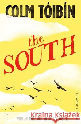 The South Colm Toibin 9781447277729