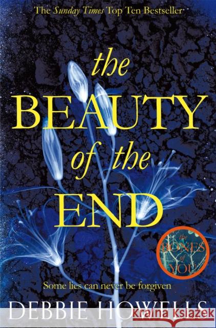 The Beauty of the End Debbie Howells 9781447278139