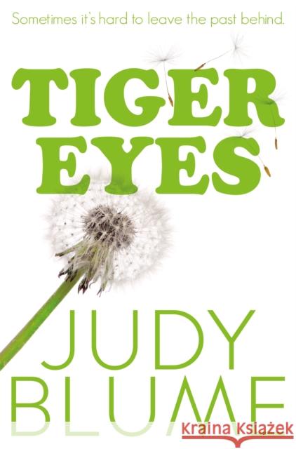 Tiger Eyes Judy Blume   9781447280439 Pan Macmillan