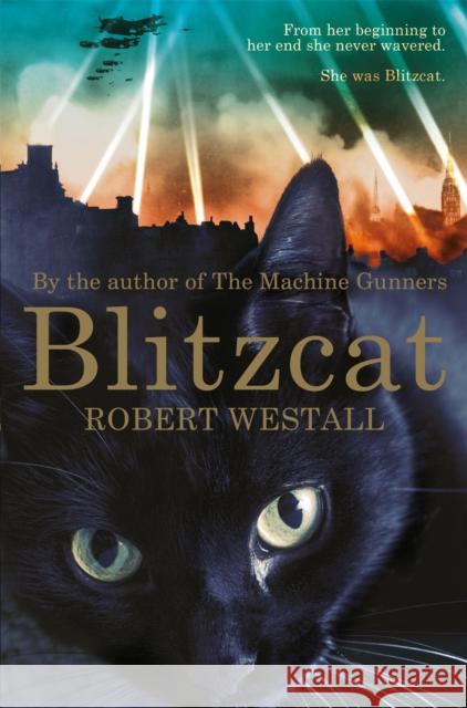 Blitzcat Robert Westall 9781447284604 Pan Macmillan